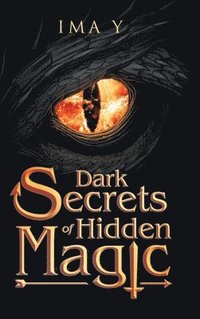 bokomslag Dark Secrets of Hidden Magic