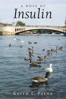 Keith C Payne, Keith C. Payne - Dose of Insulin, Häftad