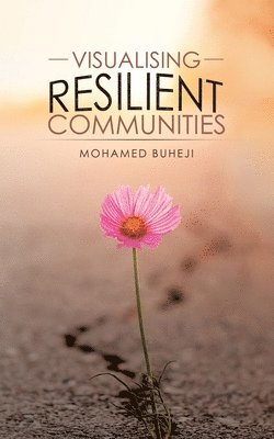 Visualising Resilient Communities 1