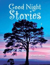 bokomslag Good Night Stories