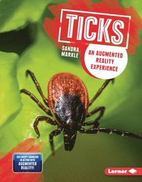 bokomslag Ticks