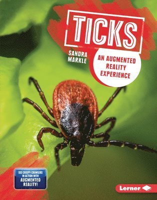 bokomslag Ticks