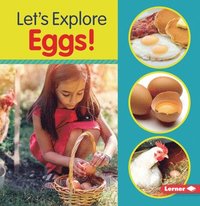 bokomslag Let's Explore Eggs!
