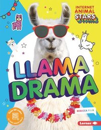 bokomslag Llama Drama