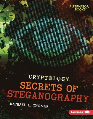 bokomslag Secrets of Steganography