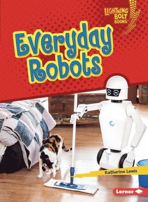 Everyday Robots 1