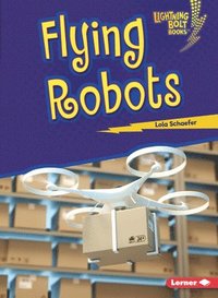 bokomslag Flying Robots