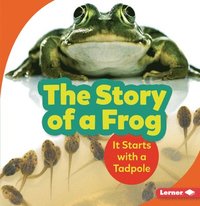bokomslag The Story of a Frog: It Starts with a Tadpole