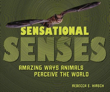 bokomslag Sensational Senses: Amazing Ways Animals Perceive the World