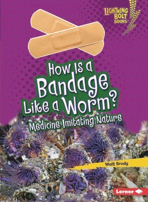bokomslag How Is a Bandage Like a Worm?