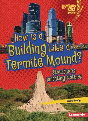 bokomslag How Is a Building Like a Termite Mound?