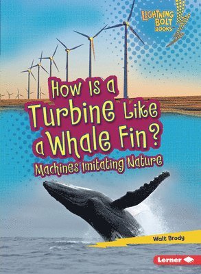bokomslag How Is A Turbine Like A Whale Fin?