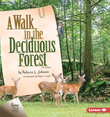 bokomslag A Walk in the Deciduous Forest, 2nd Edition