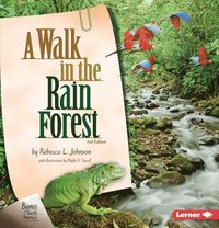 bokomslag A Walk in the Rain Forest, 2nd Edition