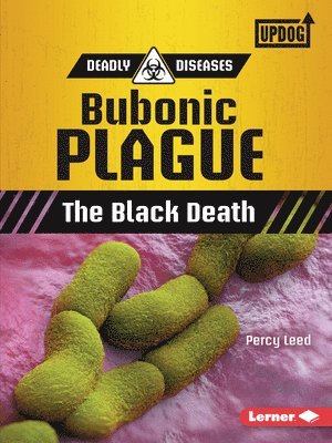 bokomslag Bubonic Plague