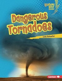 bokomslag Dangerous Tornadoes