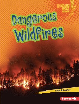 bokomslag Dangerous Wildfires