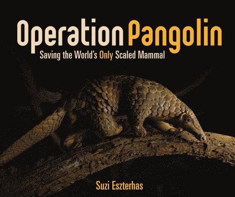 Operation Pangolin: Saving the World's Only Scaled Mammal 1