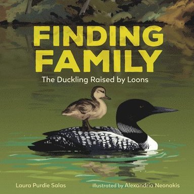 Laura Purdie Salas - Finding Family: The Duckling Raised by Loons, Inbunden