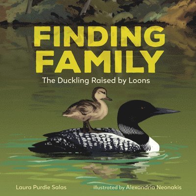 Finding Family: The Duckling Raised by Loons 1