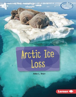 Arctic Ice Loss 1