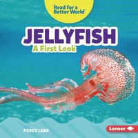 bokomslag Jellyfish: A First Look