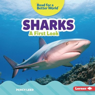 bokomslag Sharks: A First Look