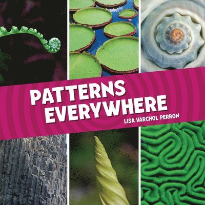 Patterns Everywhere 1