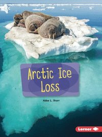 bokomslag Arctic Ice Loss