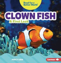 bokomslag Clown Fish