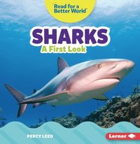 bokomslag Sharks