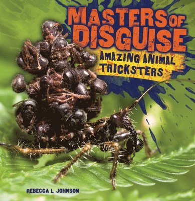 Masters of Disguise 1