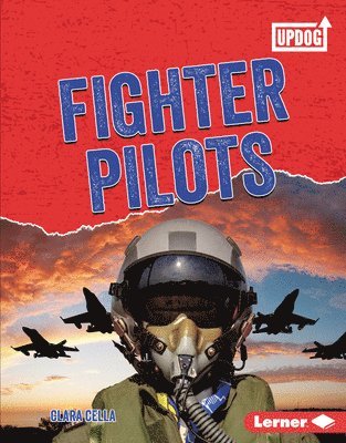 bokomslag Fighter Pilots