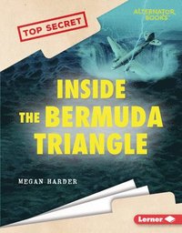 bokomslag Inside the Bermuda Triangle