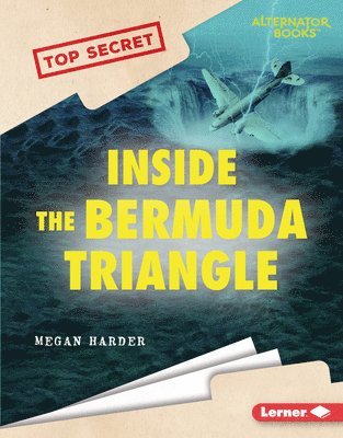 bokomslag Inside the Bermuda Triangle