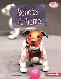 bokomslag Robots at Home