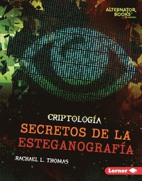 bokomslag Secretos de la Esteganografía (Secrets of Steganography)
