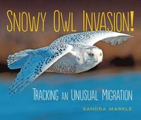 bokomslag Snowy Owl Invasion!