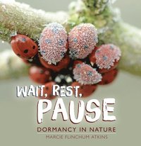 bokomslag Wait, Rest, Pause: Dormancy in Nature
