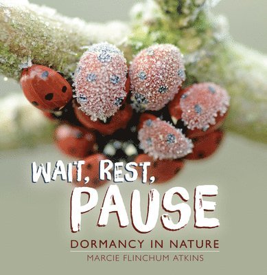 Wait, Rest, Pause: Dormancy in Nature 1