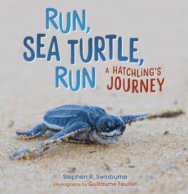 bokomslag Run, Sea Turtle, Run: A Hatchling's Journey
