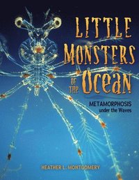 bokomslag Little Monsters of the Ocean