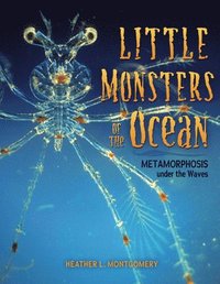 bokomslag Little Monsters of the Ocean: Metamorphosis Under the Waves