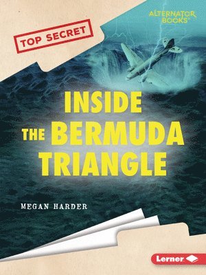 bokomslag Inside the Bermuda Triangle