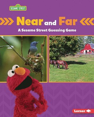 bokomslag Near and Far: A Sesame Street (R) Guessing Game