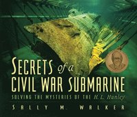 bokomslag Secrets of a Civil War Submarine