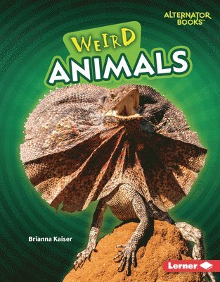 Weird Animals 1