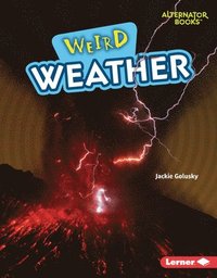 bokomslag Weird Weather