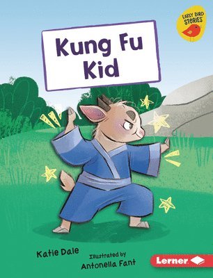 bokomslag Kung Fu Kid