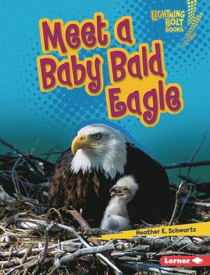 bokomslag Meet a Baby Bald Eagle